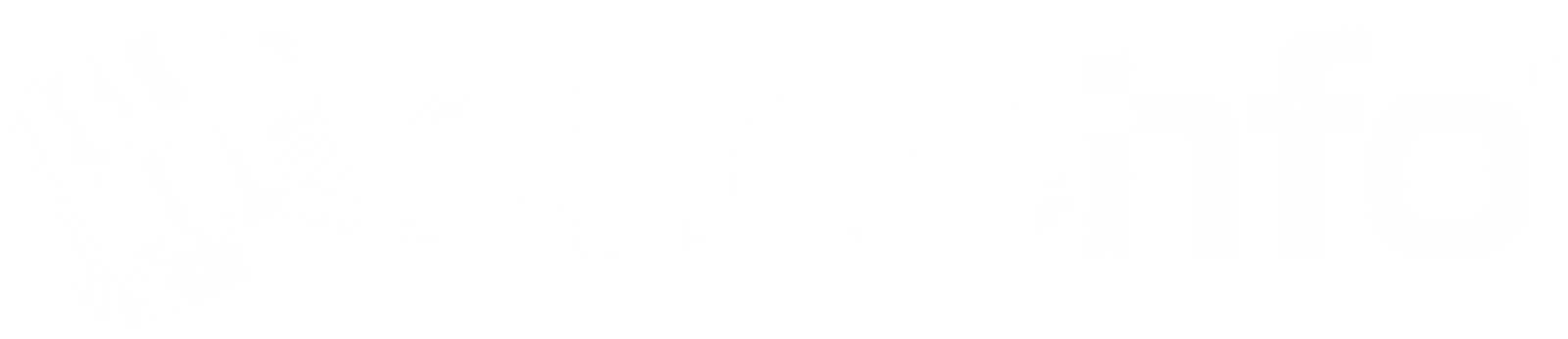 Shopinfo